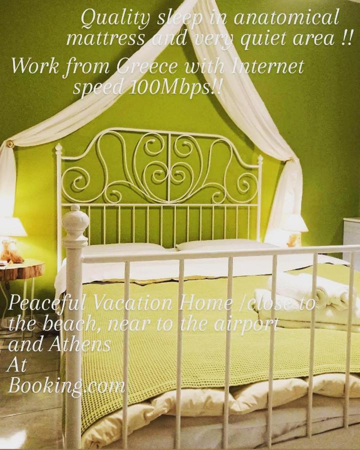 Villa Filoxenia All Seasons, Near Airport, Sea, Athens Agia Marina  المظهر الخارجي الصورة