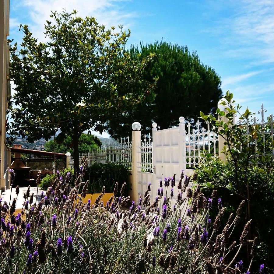 Villa Filoxenia All Seasons, Near Airport, Sea, Athens Agia Marina  المظهر الخارجي الصورة