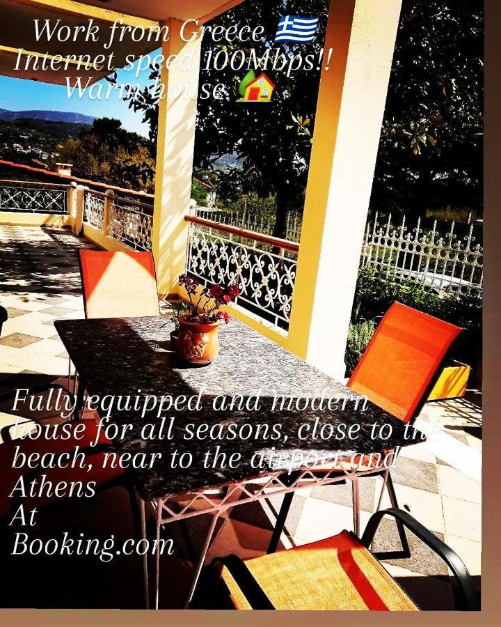 Villa Filoxenia All Seasons, Near Airport, Sea, Athens Agia Marina  المظهر الخارجي الصورة