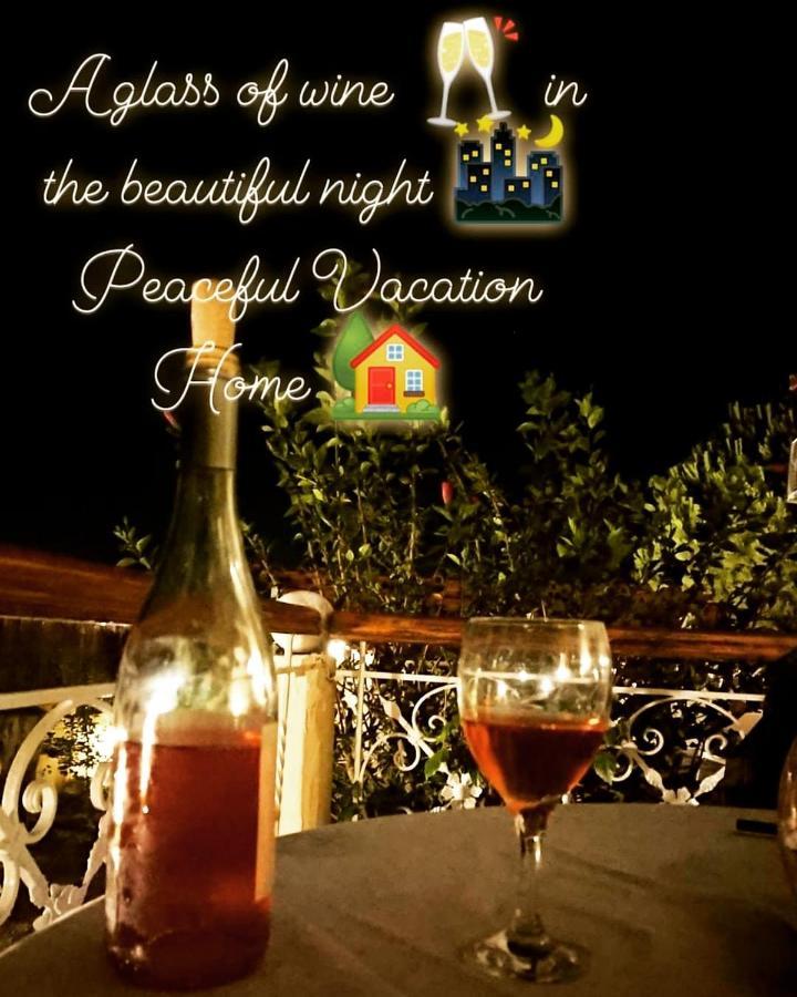 Villa Filoxenia All Seasons, Near Airport, Sea, Athens Agia Marina  المظهر الخارجي الصورة