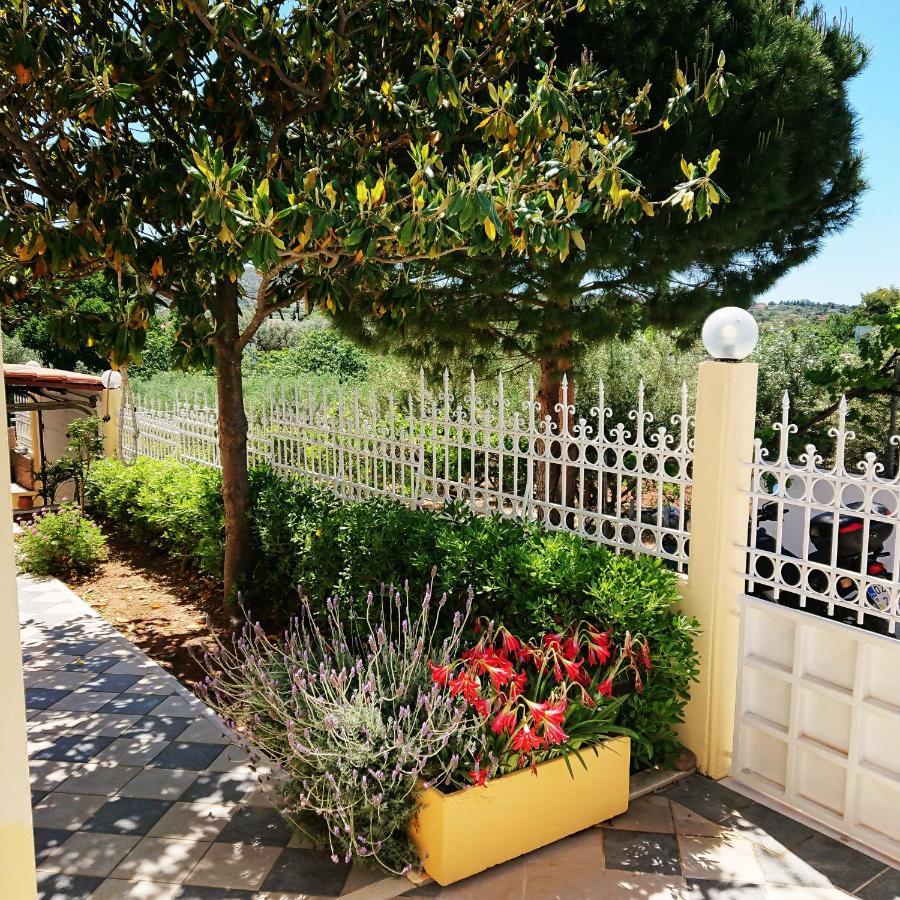 Villa Filoxenia All Seasons, Near Airport, Sea, Athens Agia Marina  المظهر الخارجي الصورة