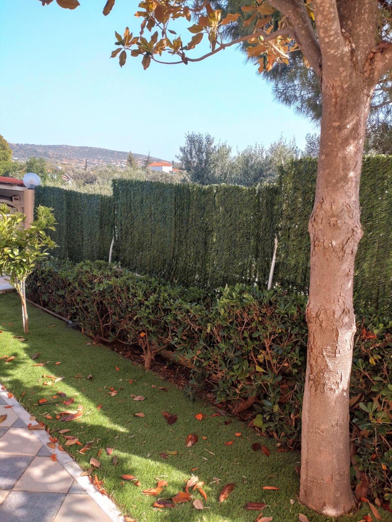 Villa Filoxenia All Seasons, Near Airport, Sea, Athens Agia Marina  المظهر الخارجي الصورة