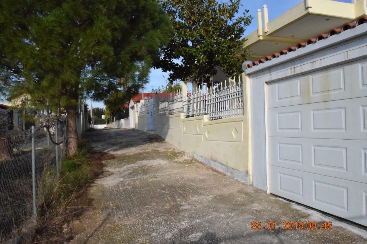 Villa Filoxenia All Seasons, Near Airport, Sea, Athens Agia Marina  المظهر الخارجي الصورة