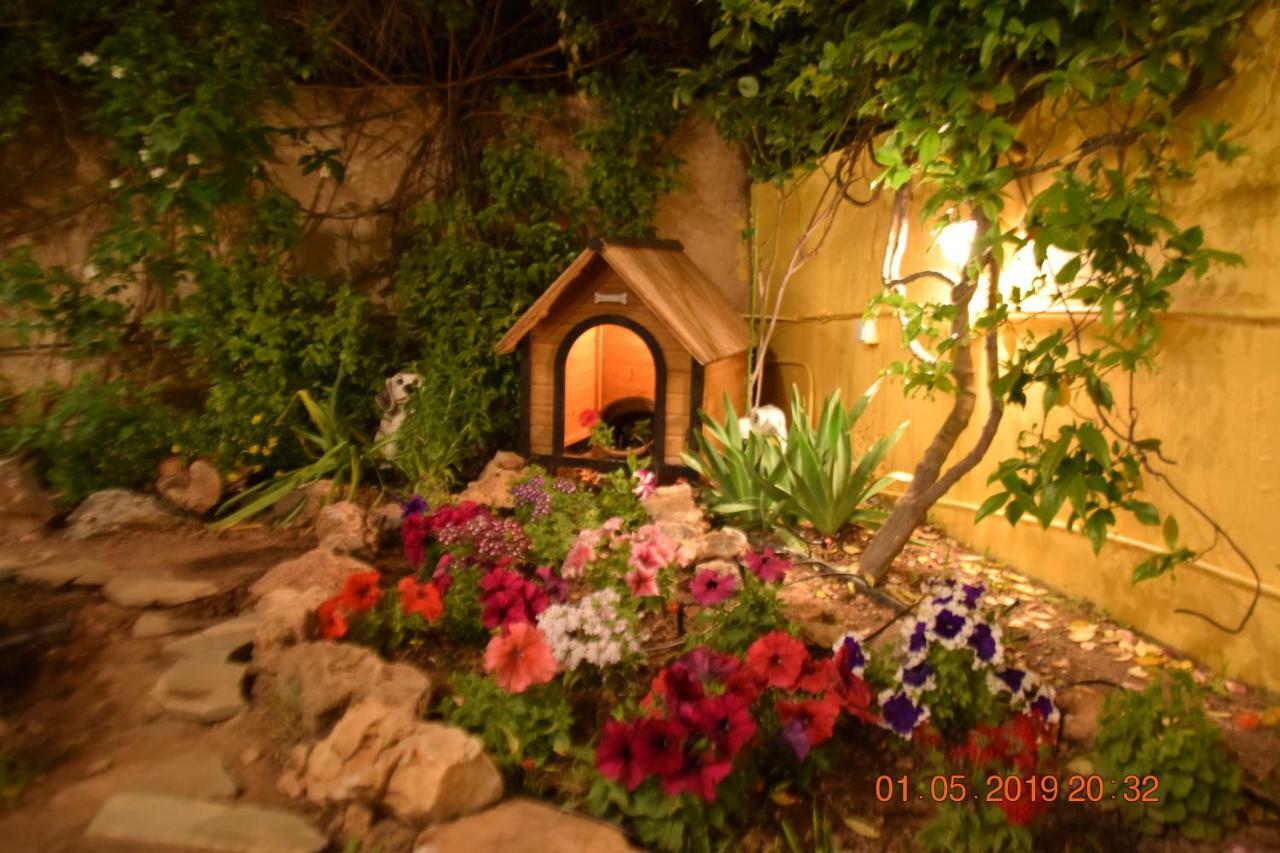 Villa Filoxenia All Seasons, Near Airport, Sea, Athens Agia Marina  المظهر الخارجي الصورة