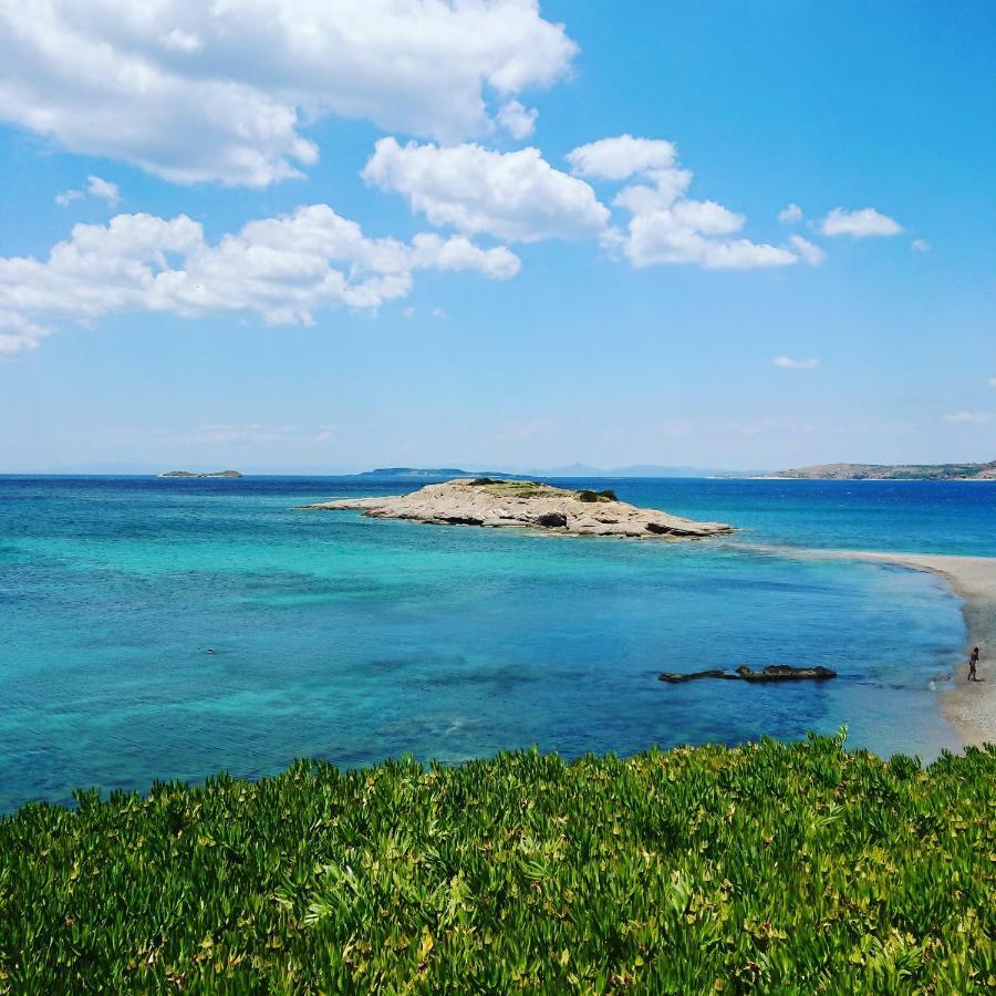 Villa Filoxenia All Seasons, Near Airport, Sea, Athens Agia Marina  المظهر الخارجي الصورة