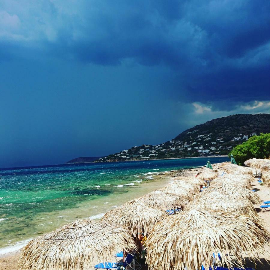 Villa Filoxenia All Seasons, Near Airport, Sea, Athens Agia Marina  المظهر الخارجي الصورة