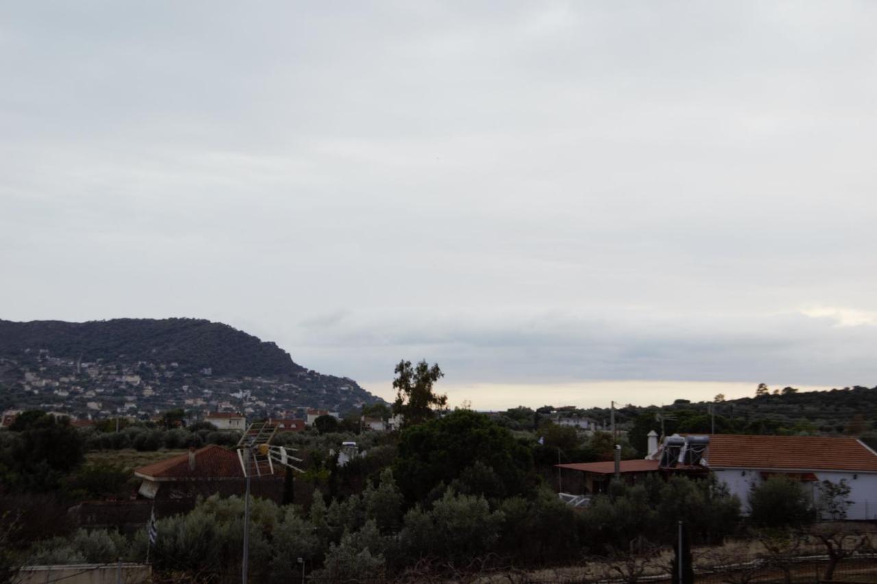 Villa Filoxenia All Seasons, Near Airport, Sea, Athens Agia Marina  المظهر الخارجي الصورة